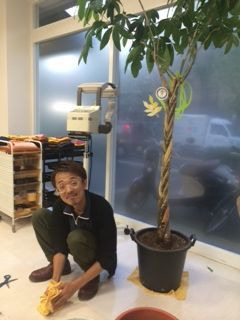 コーチとパキラ