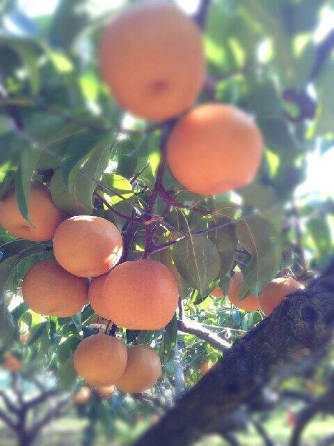 Awesome_1379856966235