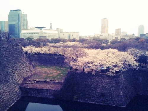 largo_20120410160208