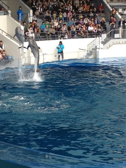 京都水族館2