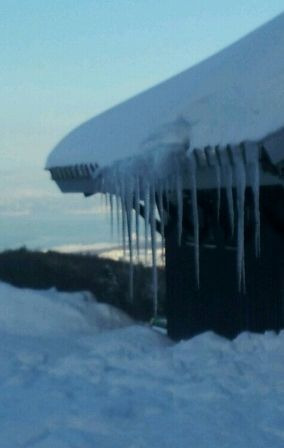 ボード　原、サダさん