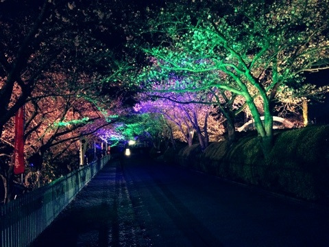 {F5111EFA-4A29-4A2C-A281-0647B6FE4108}