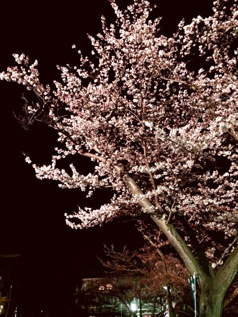 {DD68A04A-26DA-4A9D-AFD3-0CE26DC263BC}