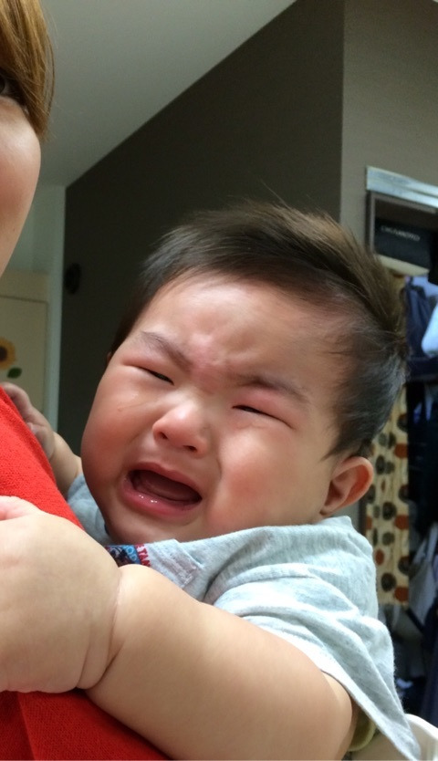 {8A94155B-86D6-4F0C-8AF8-2250D82564BF}