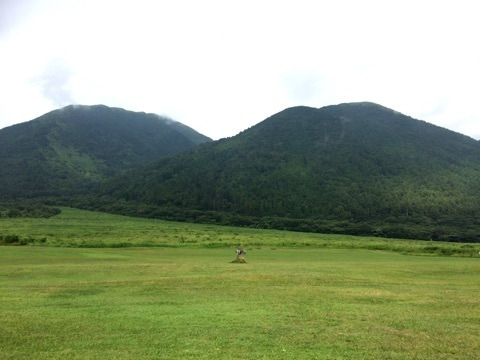 {0A138B14-F123-4BAC-94B7-9AFCB562BA25}