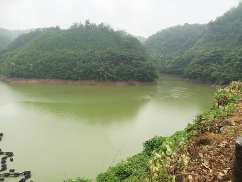 {34AF3D52-DC23-4E7A-85C3-FB983B8F6818}