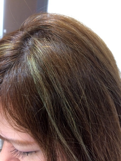 {340FBA35-7FF8-4F92-A70A-30F85D50C780}