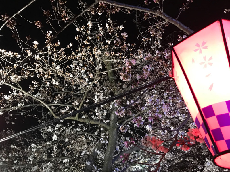 {E95E67D6-BD23-4E60-88D4-756CDC81E967}