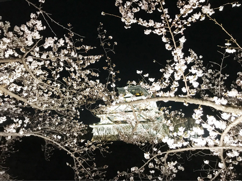 {145BA8C0-A1A7-4B4B-9E3D-D0204E3033BC}