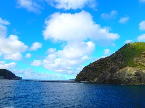 {A7AA8C02-E7F4-42B7-99B1-239D33C6D444:01}