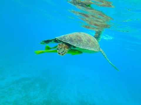 {39819BD3-D785-49F1-9851-2FDED61E4520:01}