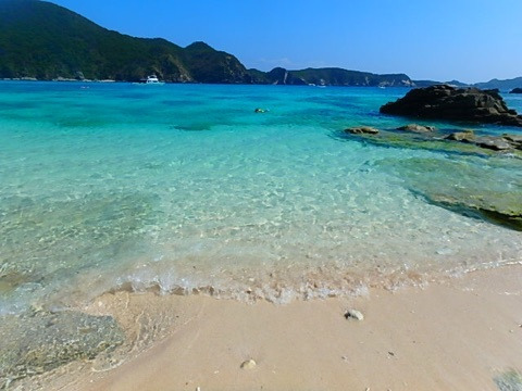 {BFF05B08-6FFB-411C-85EF-5660DEEE98A0:01}