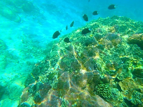 {800F5871-E113-41A4-A237-E4CE8C0E6869:01}