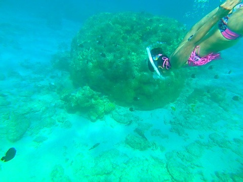 {57BB2237-6E51-4C81-BAE7-545F3A276332:01}