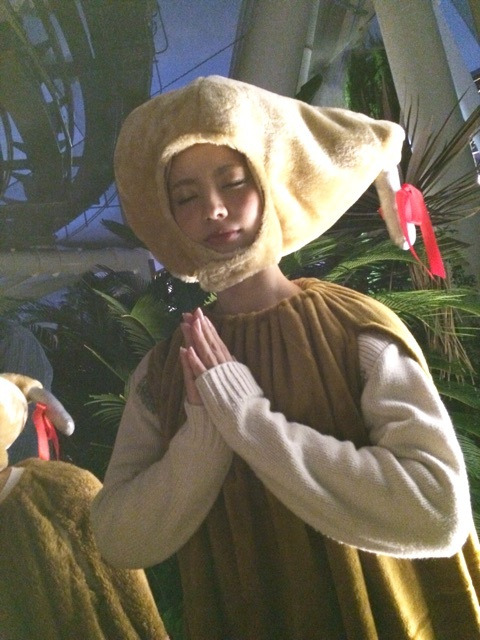 {B4C6E620-04F3-4CDF-98E2-B36552ED2B8B:01}