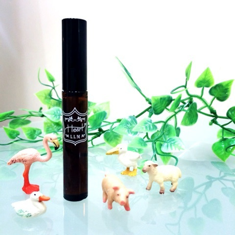 {91A44F81-1C87-4BB2-9513-F9F37773A75F:01}