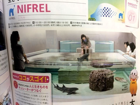 {449DFBEE-5F9C-4CAC-8E8B-A4827F9FC68A:01}