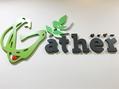 {A3A452D2-F2FE-407E-A719-02872CA255ED:01}