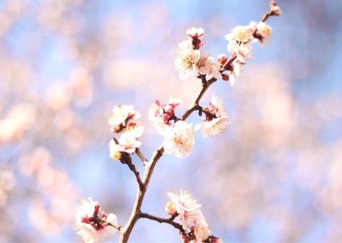 {E254F6D3-EE08-4E09-86D6-D7E65155A4D0}