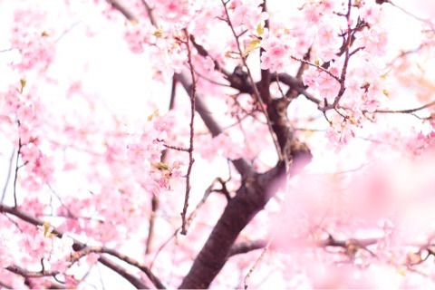 {EC2C5862-B7DD-422A-8568-FE8583EA7F1C}