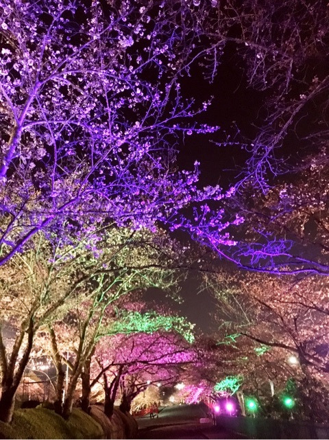 {3A013BF5-0970-497B-93D0-8894B794D71E}