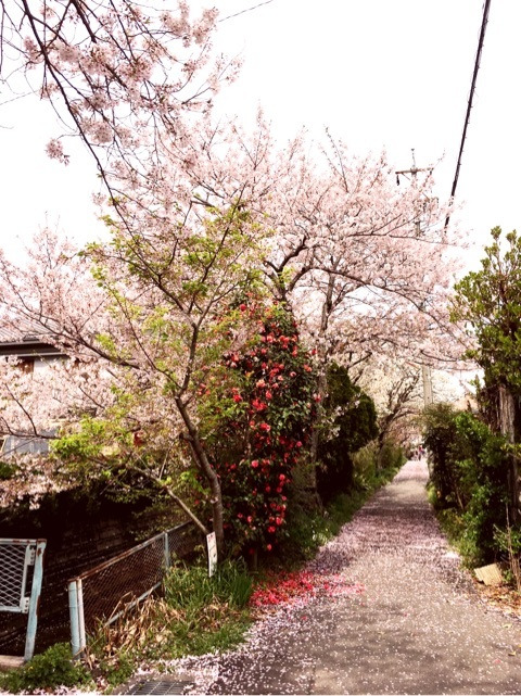 {8BF774AB-E0AC-4265-924D-00D54B5055A0}