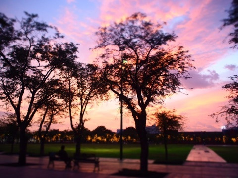 {DDDE8D21-BAC3-45B8-84FF-E37AEA16B46E}