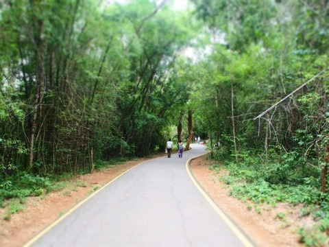 {021F92D6-5942-4996-B740-59639FF0EB6D}