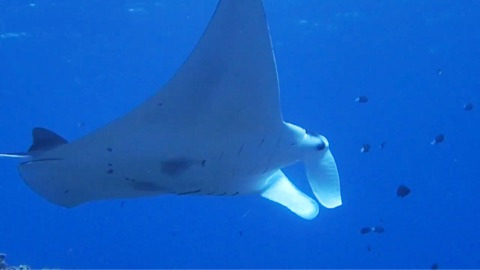 {ADC008D0-2EA7-458D-8214-31B789E453D2}