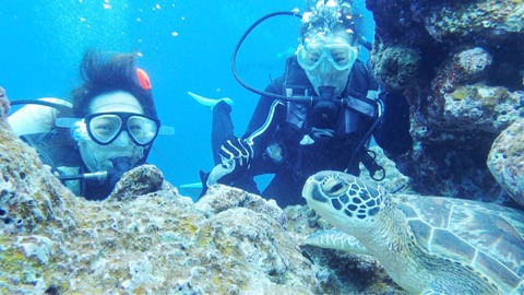 {C5459623-6DA2-4CB0-9907-6680AABE8E10}