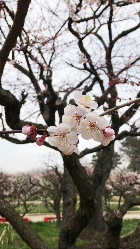 {8DE27765-A75D-4409-AEFF-12A1F9C81409}