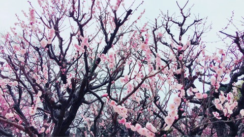 {A083C6A8-060C-4B72-B3DC-9738E93369C6}