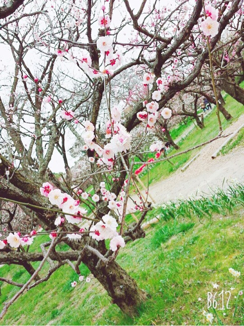 {7D61A360-D08C-4518-93B3-1E803891AB66}