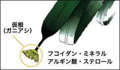 {70BB2EB3-59A9-4033-9323-522D7A6FB7B9}