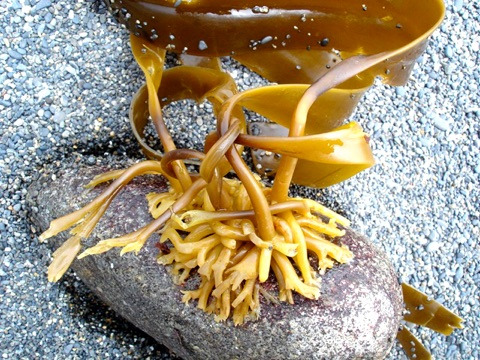 {72CB9659-FE73-4135-AECE-3A9B6824042A}