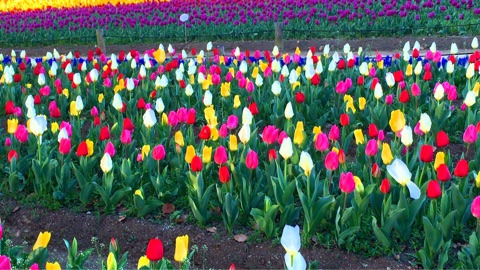 {8430A5C4-9307-473A-BE1F-21B0B113EE50}