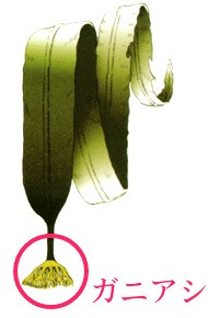 {A697F2DE-1FAD-4DB1-A8C9-8596A1D5BB75}