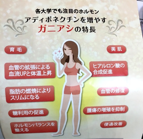 {19CC2FA6-1E7C-491B-9ABB-EA393AEA58ED}