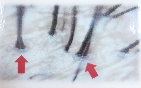 {25DAA8A8-58CB-4ED8-B0AF-FB1E7C911B10}