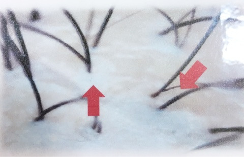 {CC628F2D-0F51-4DE9-9BED-C36584458C3E}