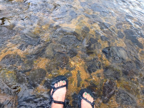 {6C72C50C-B816-4946-8AB5-E1D0BCF349A6}