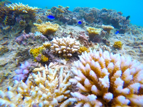 {953B9F98-5772-453E-A497-C3E952F0BF38}