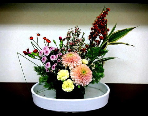 {25D9385E-C4E6-4406-A31C-D9EA455D7257}