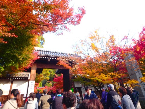 {A47AB513-5727-4A5E-AE74-9B7072EC1E62}