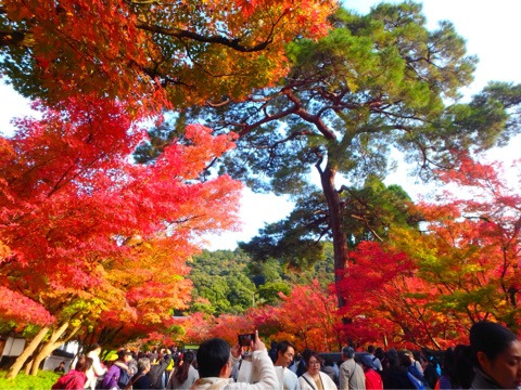 {9CFF9C50-23C5-4A8D-8A1D-CE32C51538F8}