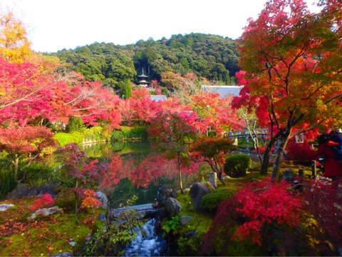 {F6A09882-22DB-4742-9A1B-510222610695}