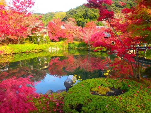 {1889DD3B-C267-4369-B319-251085CBEC44}