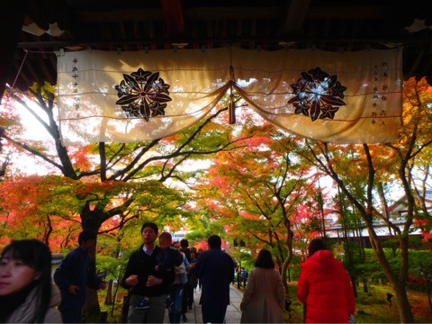 {04412A02-CF21-46DA-AD69-44D7BF23AC97}