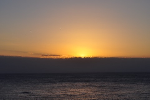 {1D3D07CA-6E8B-444B-A033-D89A5D3318FF}