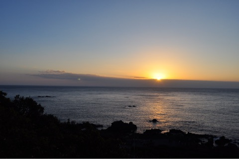 {D3C18B04-B071-4D7A-AF47-47F508173CAC}